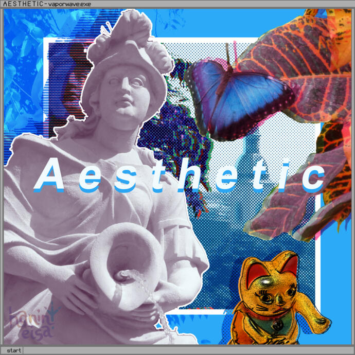 A E S T H E T I C - vapowave.exe, Hanin